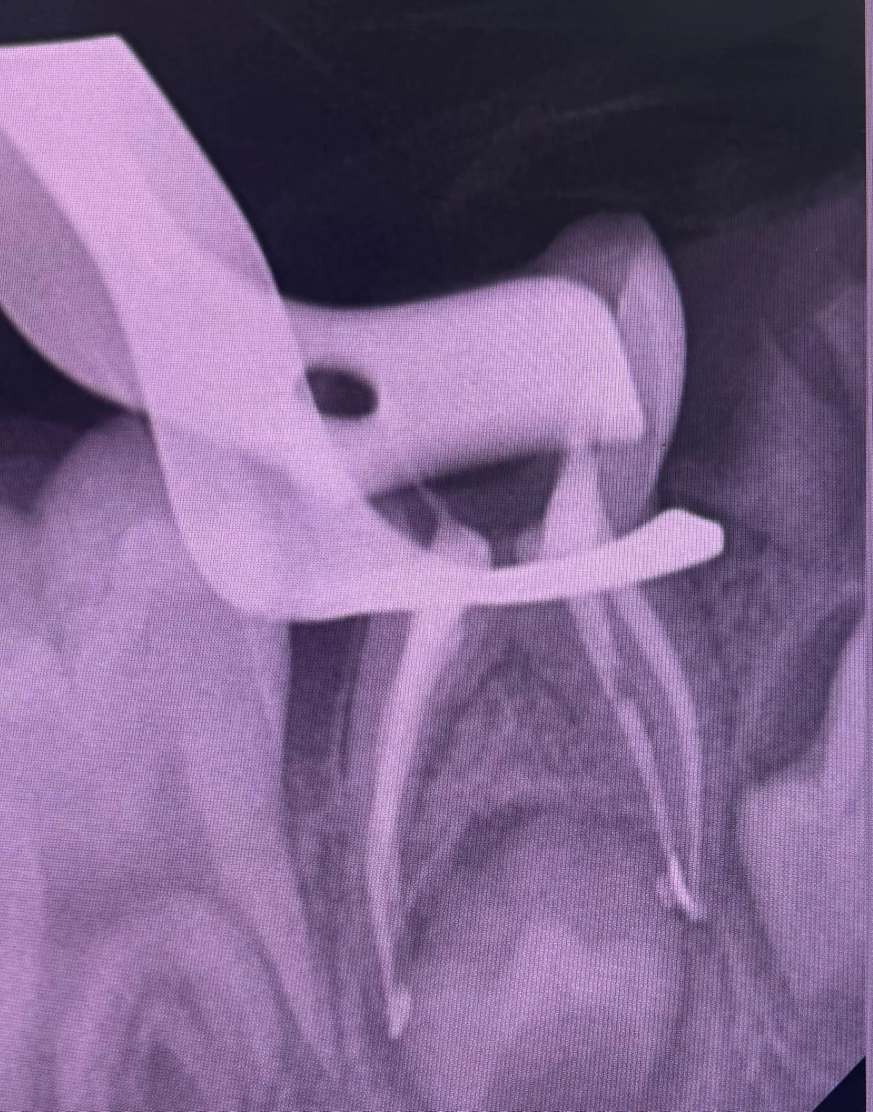 After treatment