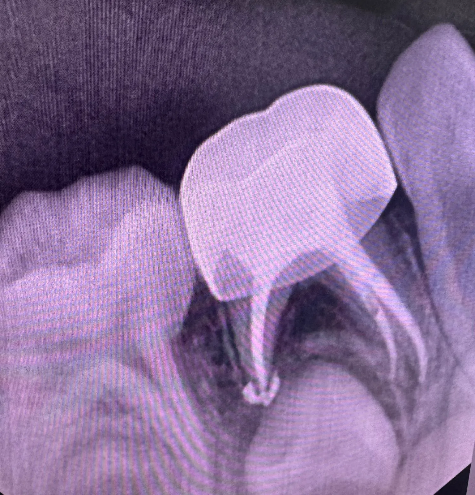 Dental clinic gallery